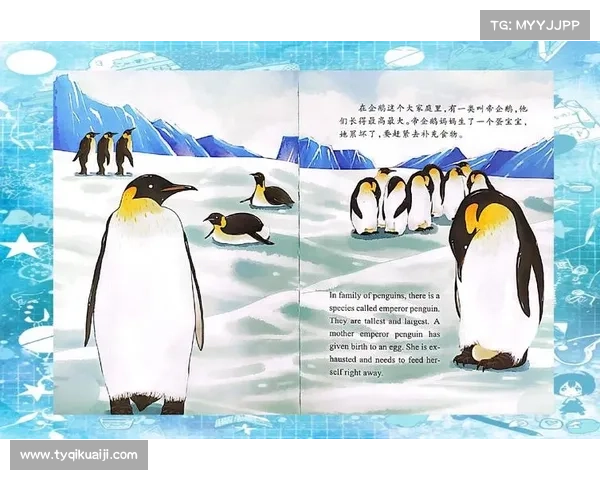 《探索失落秘术的神秘之旅寻找古老智慧与遗失力量的冒险指南》 《探索失落秘术的神秘之旅寻找古老智慧与遗失力量的冒险指南》